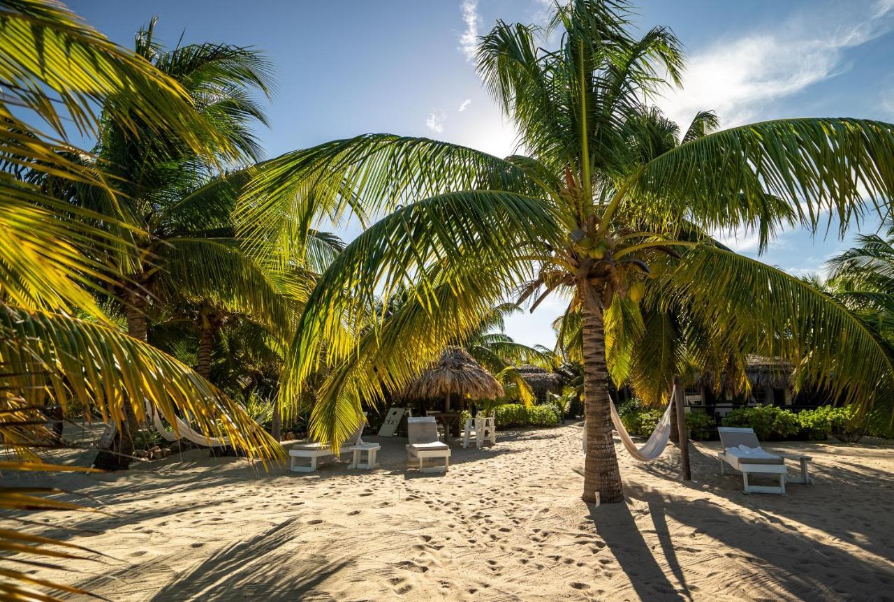 Caribbean Beach Cabanas Placencia Extérieur photo