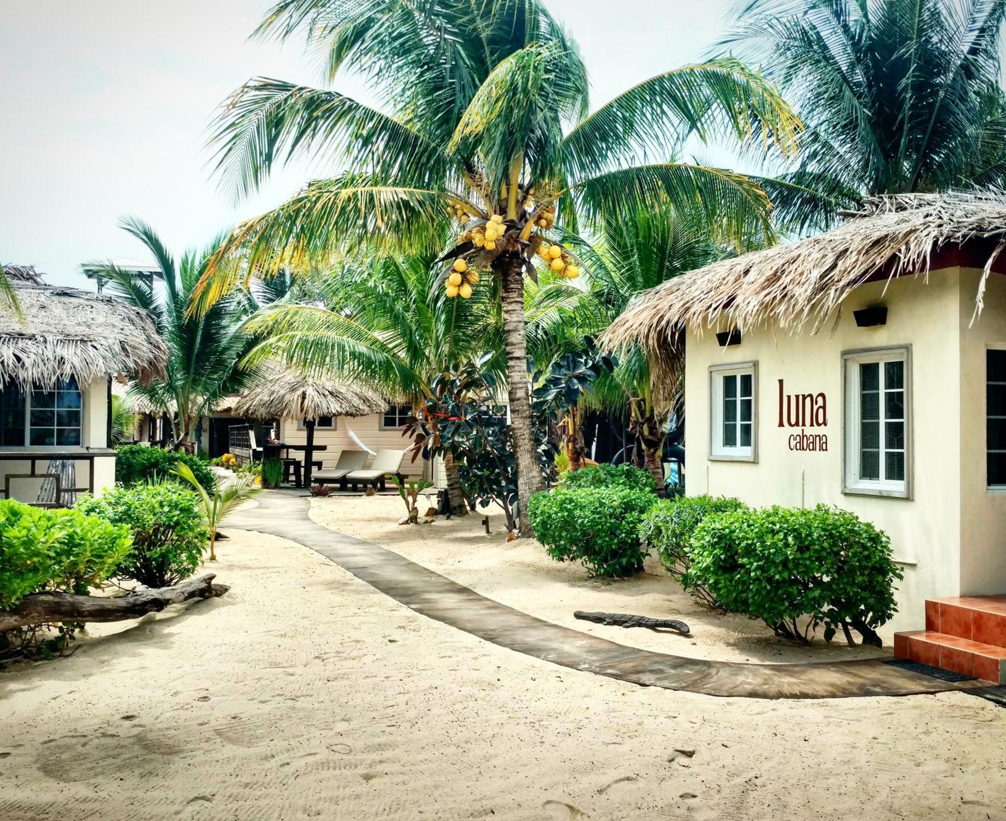 Caribbean Beach Cabanas Placencia Extérieur photo